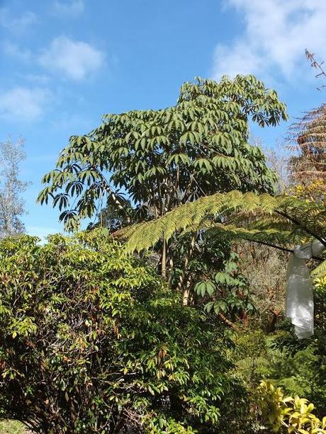 Cornwall Day One Cornwall Day One