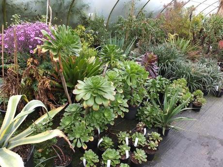 Cornwall Day One Cornwall Day One