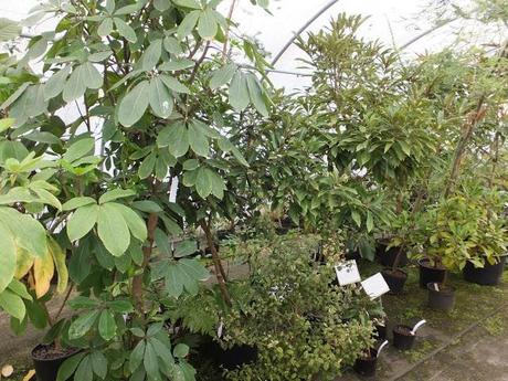 Cornwall Day One Cornwall Day One