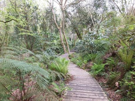 Cornwall Day One Cornwall Day One