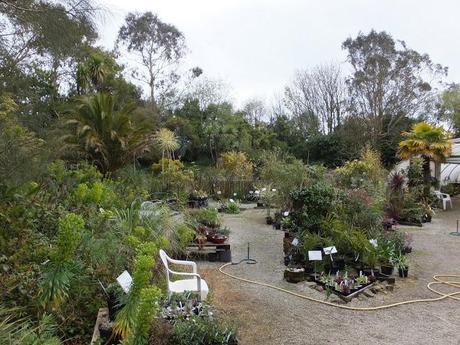 Cornwall Day One Cornwall Day One