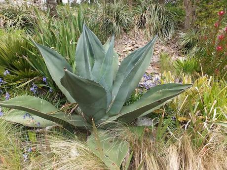 Cornwall Day One Cornwall Day One