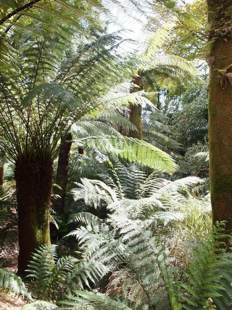 Cornwall Day One Cornwall Day One