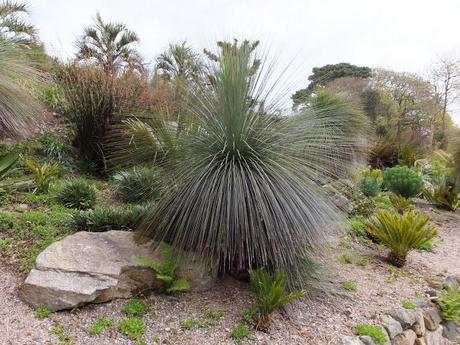 Cornwall Day One Cornwall Day One