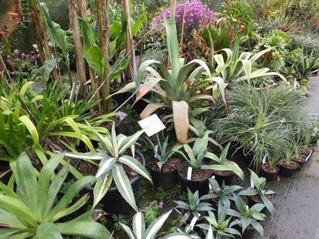 Cornwall Day One Cornwall Day One