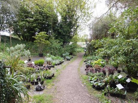 Cornwall Day One Cornwall Day One