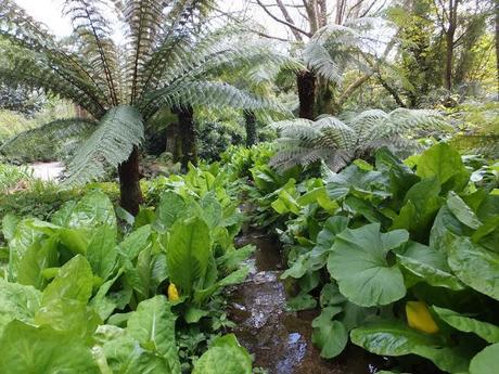 Cornwall Day One Cornwall Day One