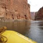 Peaceful waters before the rapids.