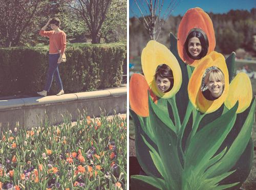 Moment for me: Tulip Festival