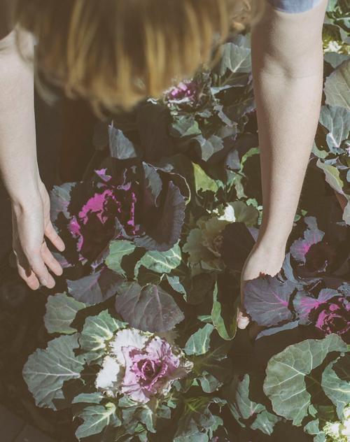 Moment for me: Tulip Festival