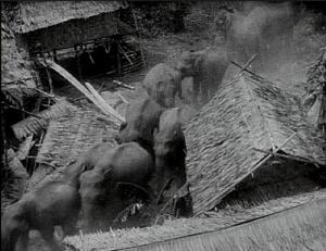 elephant stampede from Chang (1927)