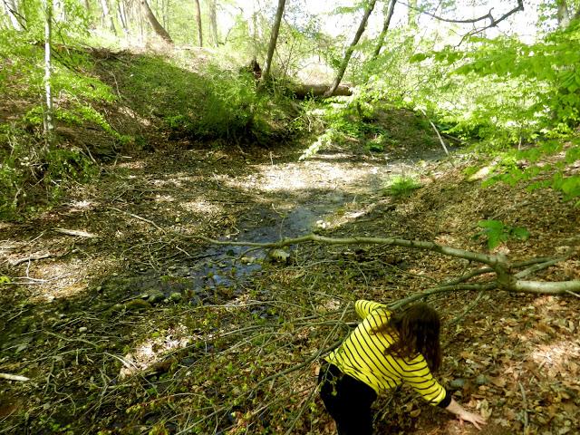 Lisa and Elizabeth's Excellent Adventure/Long Island