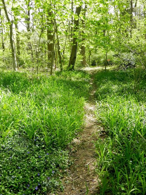 Lisa and Elizabeth's Excellent Adventure/Long Island