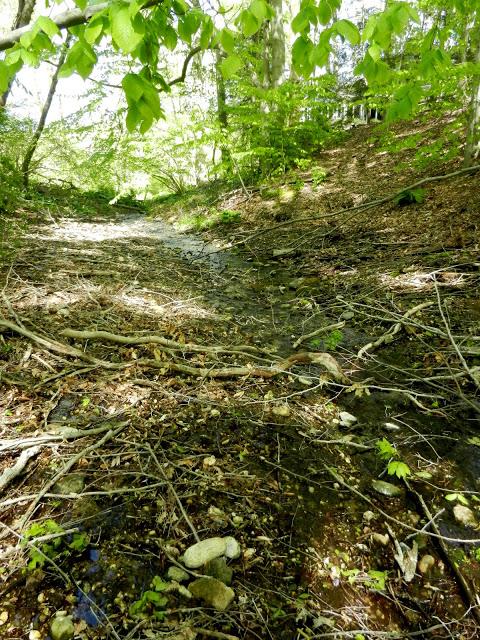 Lisa and Elizabeth's Excellent Adventure/Long Island