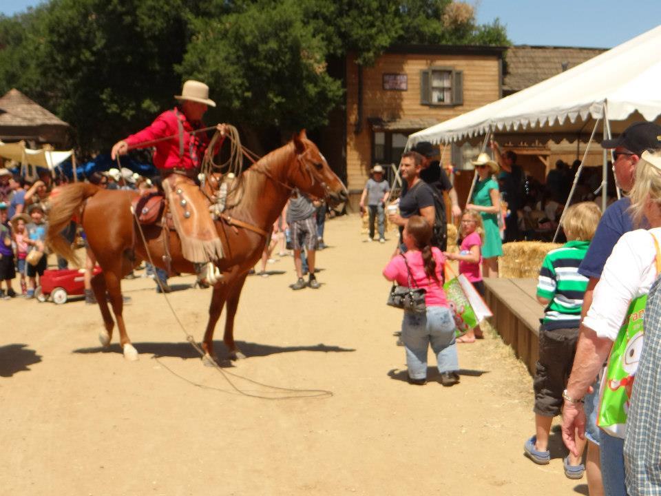 Cowboy Festival Horses