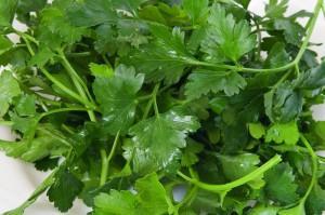 parsely cleanse kidney