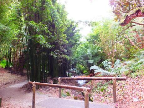 Cornwall Day Three Cornwall Day Three