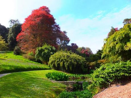 Cornwall Day Three Cornwall Day Three