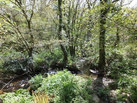 Cornwall Day Three Cornwall Day Three