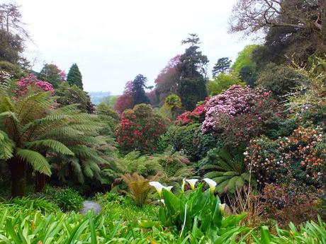 Cornwall Day Three Cornwall Day Three