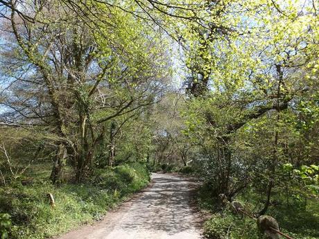 Cornwall Day Three Cornwall Day Three