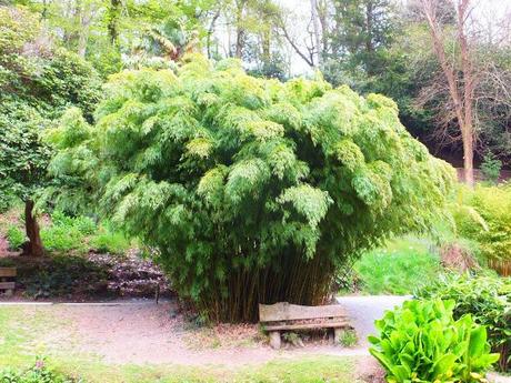 Cornwall Day Three Cornwall Day Three