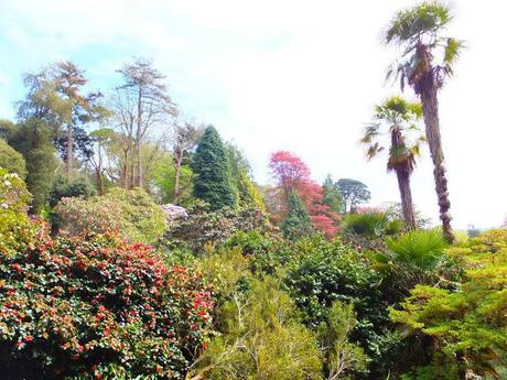 Cornwall Day Three Cornwall Day Three