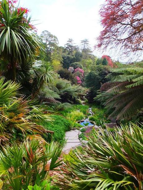 Cornwall Day Three Cornwall Day Three