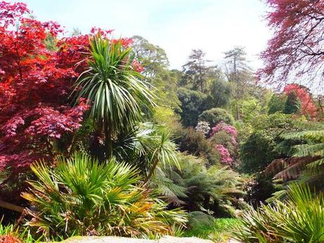 Cornwall Day Three Cornwall Day Three