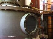 Latest Discovery: Meet Afendello Zesty Experience Like Other