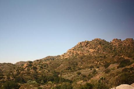 Scenes from a Train: The American Landscape Part 1