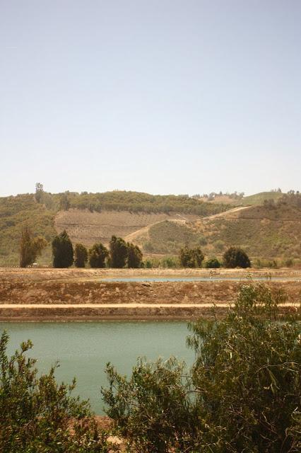 Scenes from a Train: The American Landscape Part 1