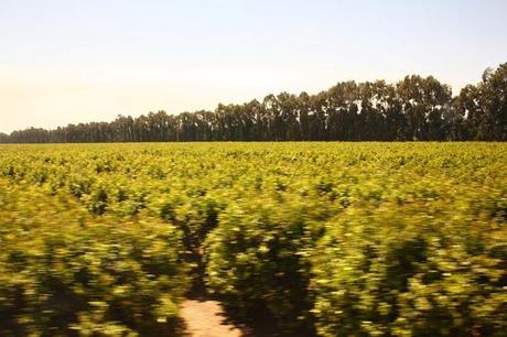 Scenes from a Train: The American Landscape Part 1