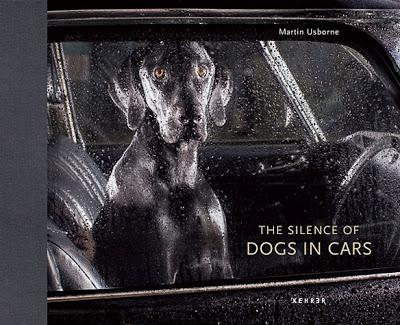 Dramatic Portraits Reveal the Silence of DOGS in CARS!