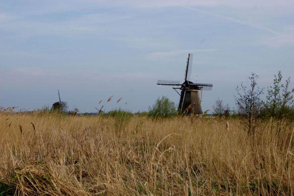 Kinderdijk Windmills