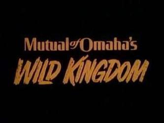 Explorers Club Establishes Award Honoring 