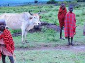 Corporate Colonialism: Ethnic Cleansing Maasai People Tanzania