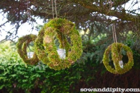 Moss Orb Chandeliers 