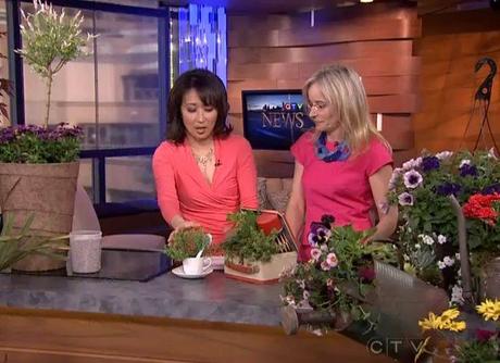 Tamara Jansen on CTV discussing Garden Trends