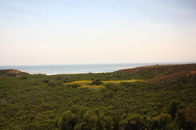 Scenes from a Train: The American Landscape Part 2 (Green Shores)