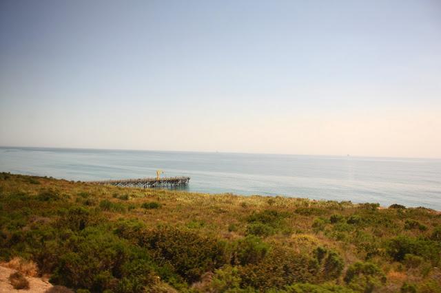 Scenes from a Train: The American Landscape Part 2 (Green Shores)