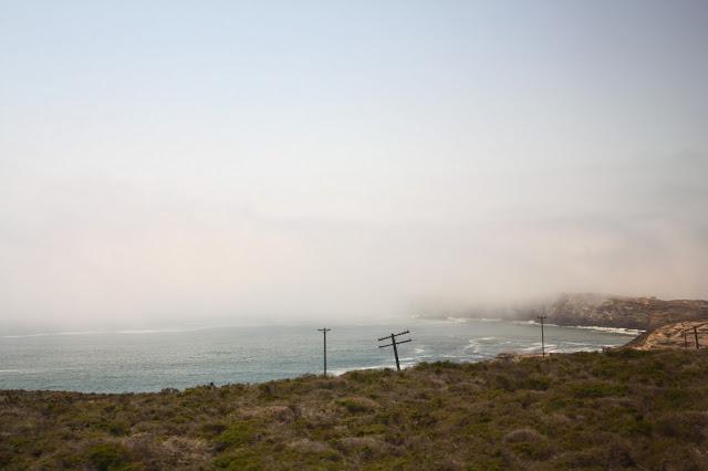 Scenes from a Train: The American Landscape Part 2 (Green Shores)