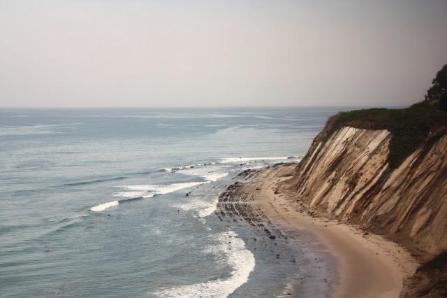 Scenes from a Train: The American Landscape Part 2 (Green Shores)