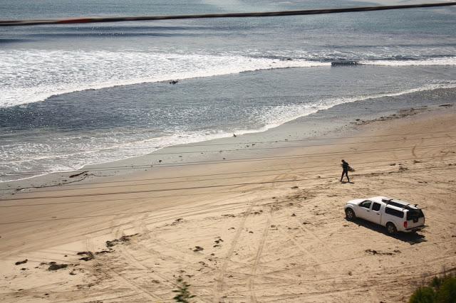 Scenes from a Train: The American Landscape Part 2 (Green Shores)