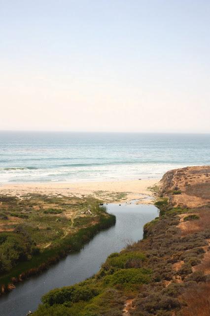 Scenes from a Train: The American Landscape Part 2 (Green Shores)