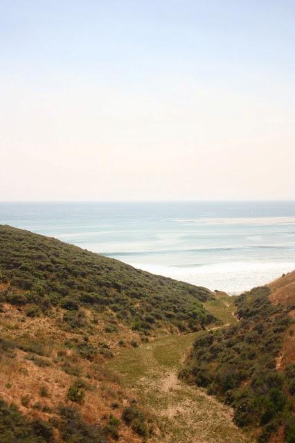 Scenes from a Train: The American Landscape Part 2 (Green Shores)