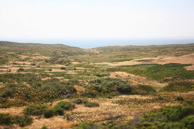 Scenes from a Train: The American Landscape Part 2 (Green Shores)