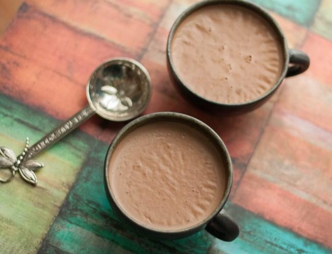 Paleo Chocolate Coconut Milk Panna Cotta