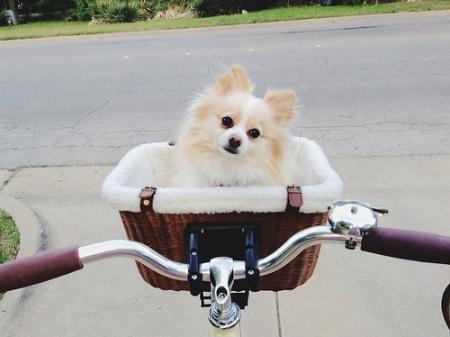 8721487731_123814d9e5