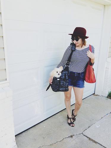 8721490047_b511898c7c